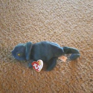 Rainbow the chameleon